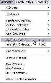  Parameter Editor ( )