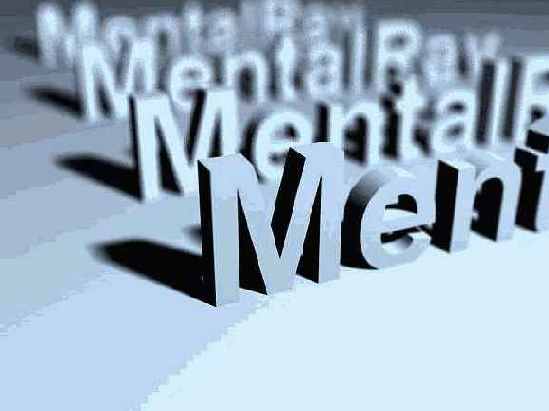       mental ray